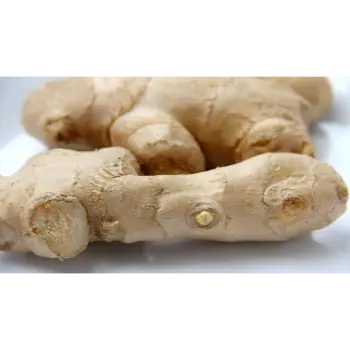 ginger (6)-5988231-69703.webp